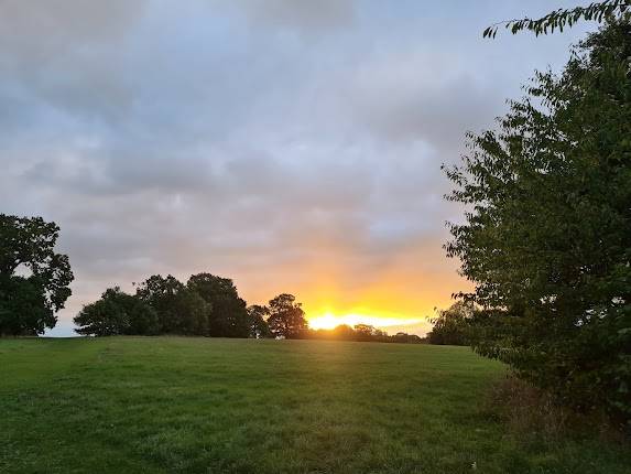 Morden Park