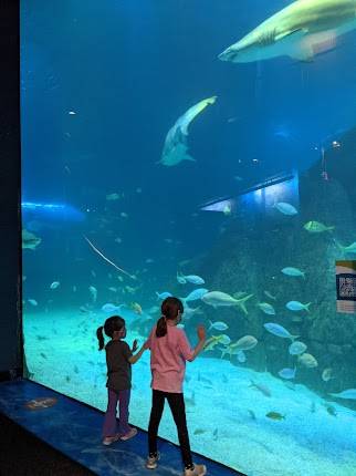 Adventure Aquarium