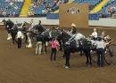 Missouri State Fairgrounds