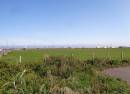 Bodafon Fields