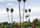 Alameda County Fairgrounds