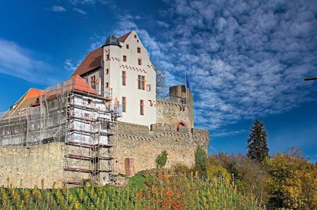 Burg Alzenau