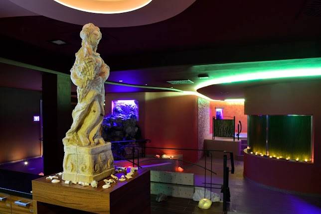 Congress & Wellness Hotel Tabor Palcát