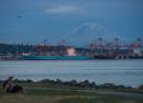 Myrtle Edwards Park