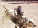 Cheyenne Frontier Days