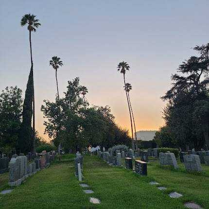 Cinespia at Hollywood Forever - Complex