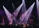 Patronaat