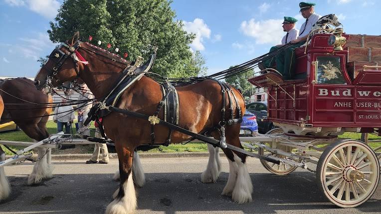 DuQuoin State Fair