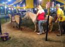 Stark County Fairgrounds