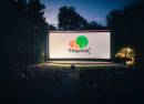 Summer Cinema Hajecek