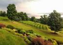 Point of the Bluff Vineyards