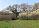 Copthall Playing Fields