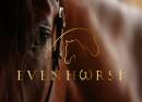 Evenhorse