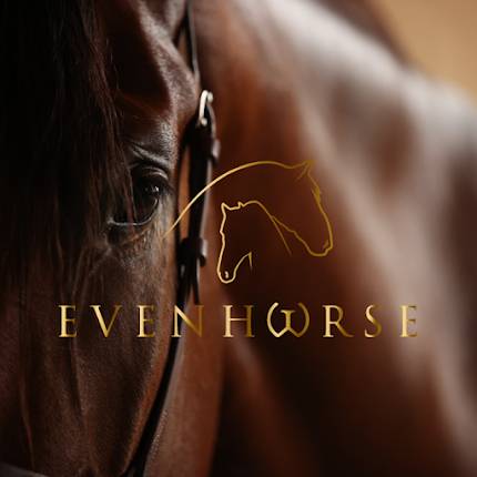 Evenhorse