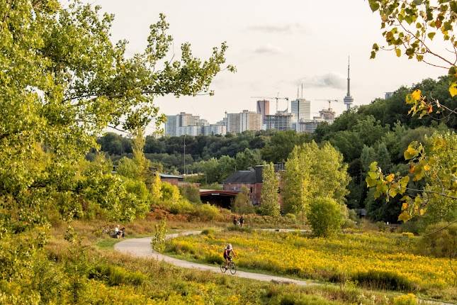 Evergreen Brickworks