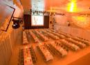 Kulturhalle