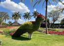 Jardines de México