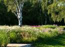 Stadtpark Norderstedt