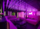 Bloom Nightclub