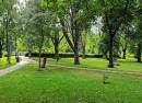 Bute Park