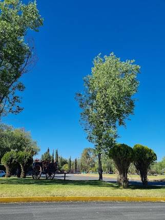 Parque Tangamanga