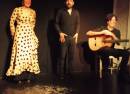Flamenco la exclusiva