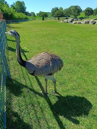 Festivalgelände beim Mundenhof Tiergehege