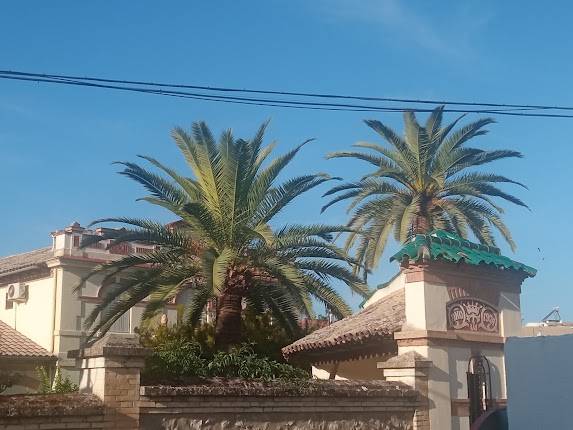 Fundación térmens