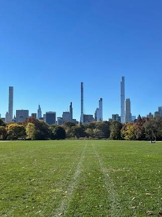 Great Lawn at Central Park