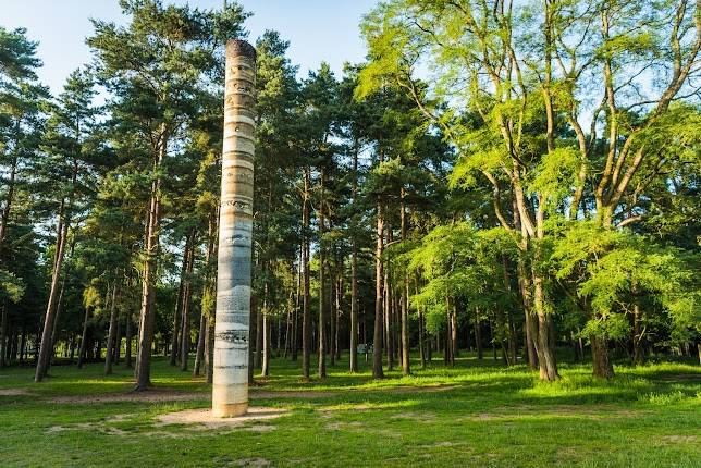 High Lodge, Thetford Forest