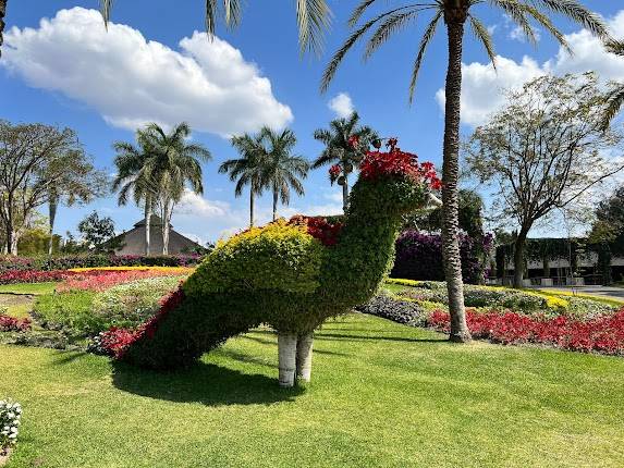 Jardines de México