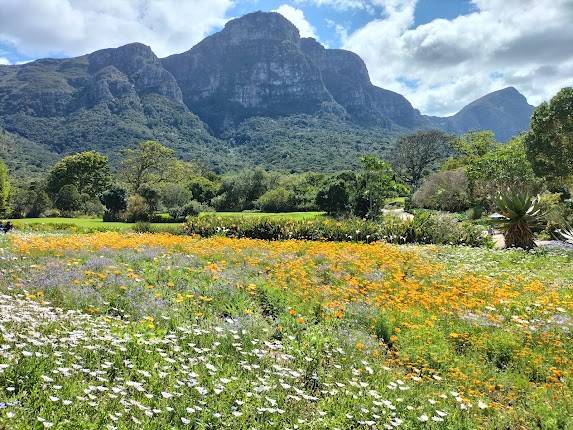 Kirstenbosch