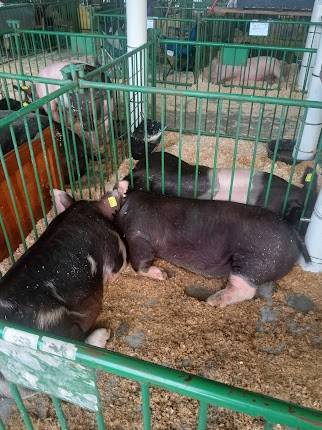 LaPorte County Fairgrounds