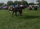 Lucas County Fairgrounds