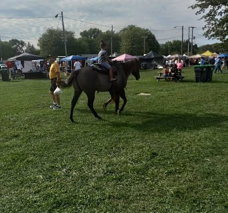 Lucas County Fairgrounds