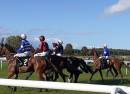 Market Rasen Racecourse