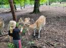 Neustrelitz Zoo