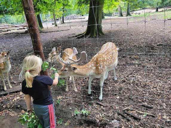 Neustrelitz Zoo