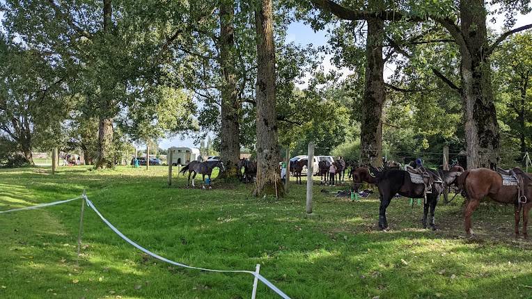 Reitstadion Donaueschingen