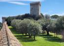 Rocca del Leone