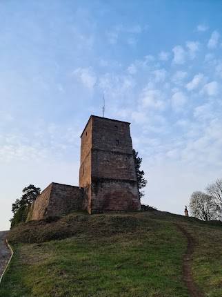 Siersburg Burg
