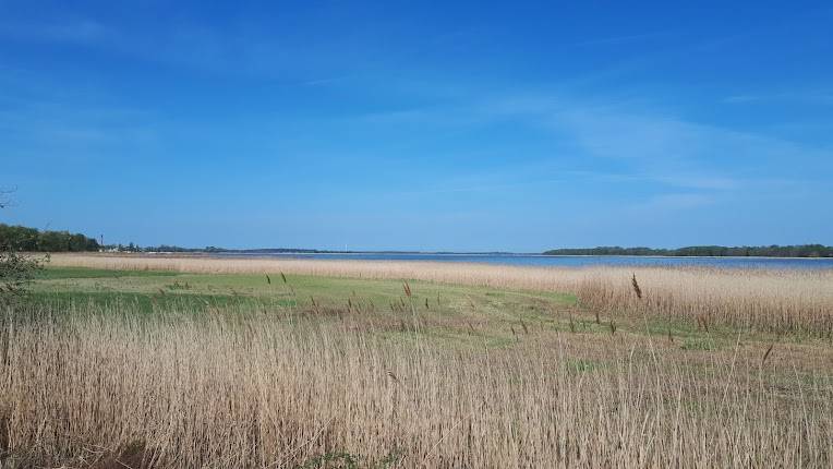 Stadion am Bodden