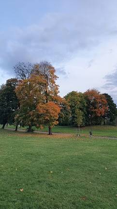 Tøyenparken