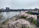 Tom McCall Waterfront Park