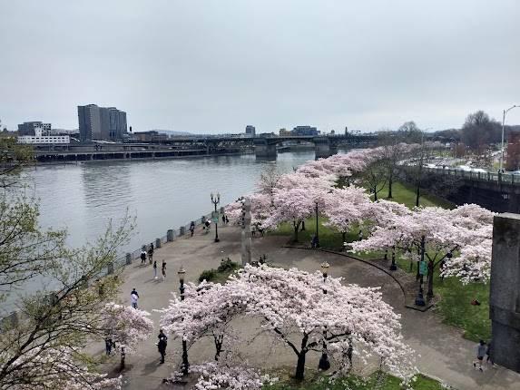 Tom McCall Waterfront Park