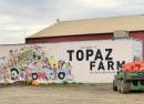 Topaz Farm