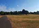 Torre Abbey Meadows