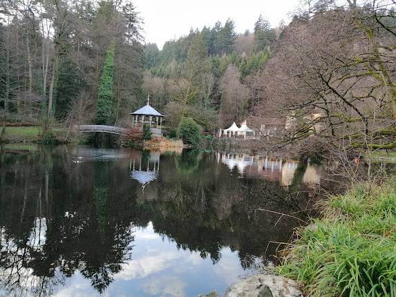 Waldsee